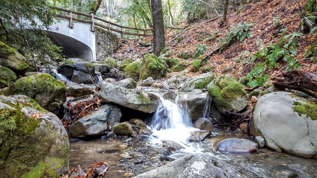 Uvas Canyon County Park | 8515 Croy Rd, Morgan Hill, CA 95037, USA | Phone: (408) 779-9232