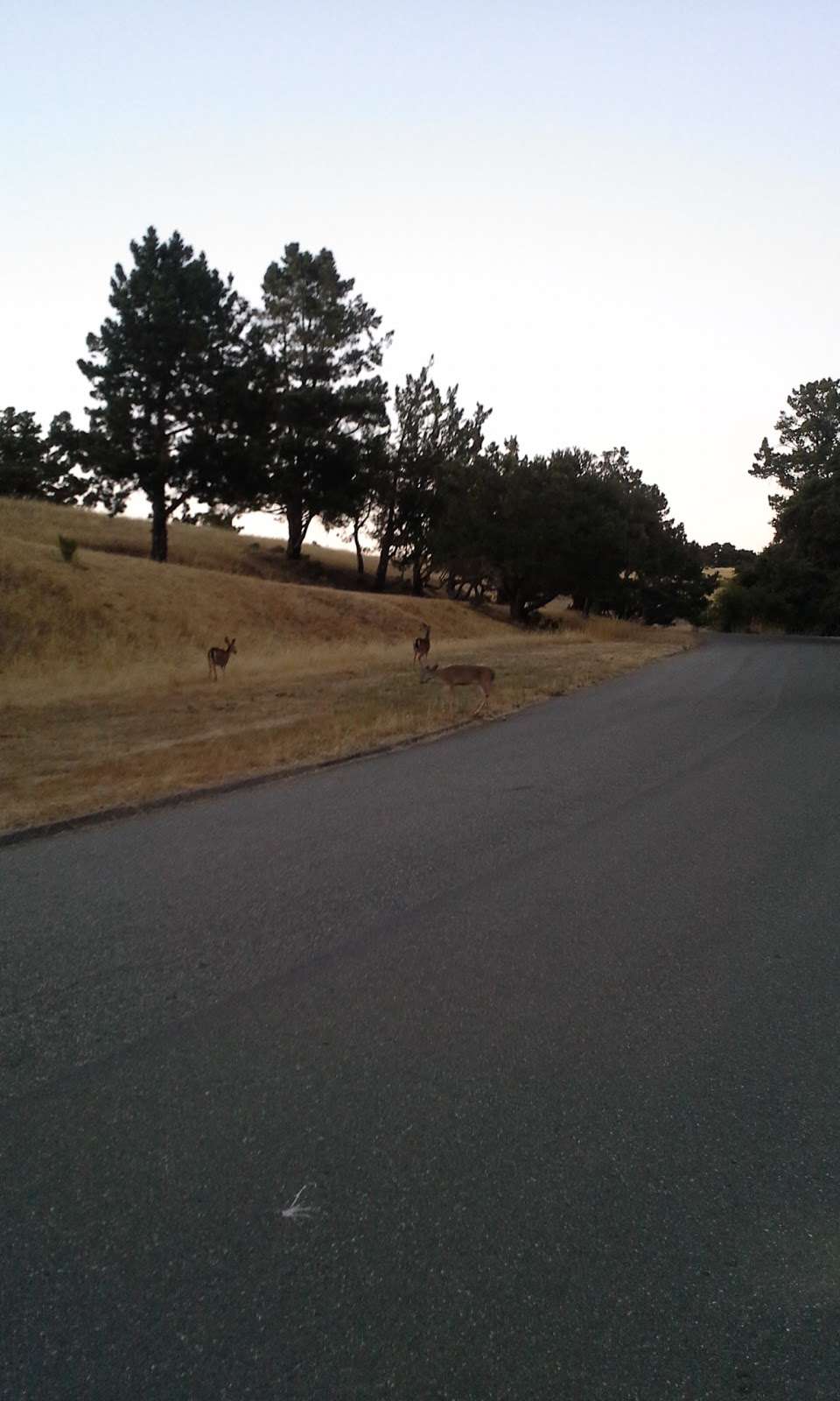 Foothills Park entrance | 11799 Page Mill Rd, Los Altos Hills, CA 94022, USA | Phone: (650) 329-2423