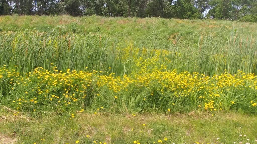 Trout Brook Nature Sanctuary | 1200 Jackson St, St Paul, MN 55117, USA | Phone: (651) 266-6368