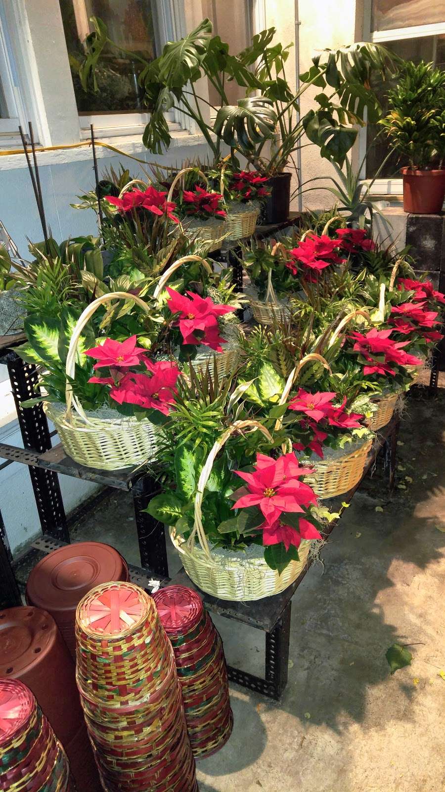 Americas Florist Inc | 227 W Union Ave, Bound Brook, NJ 08805, USA | Phone: (732) 469-7673