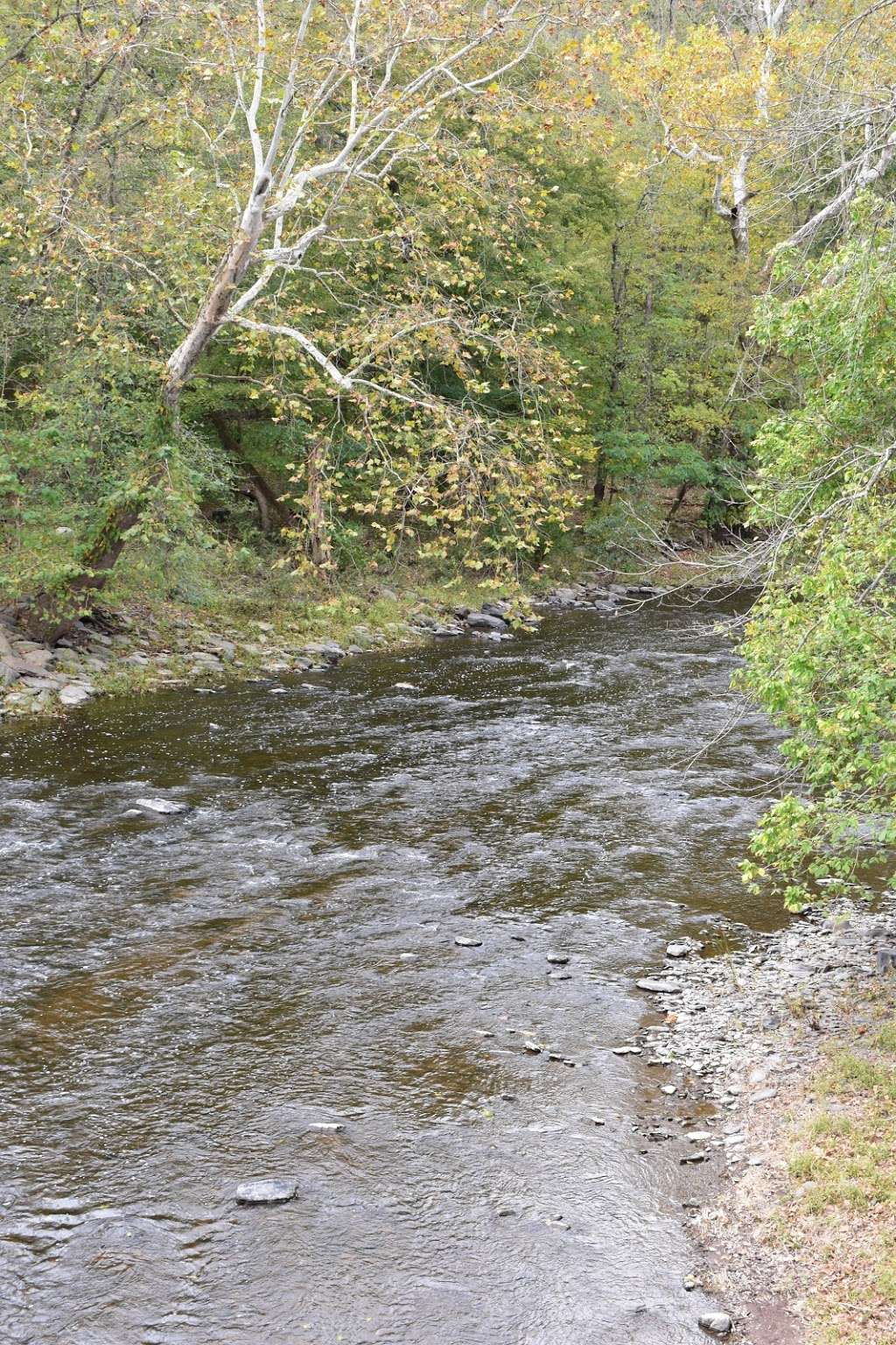 The Tohickon Creek At the Point Pleasant Bridge | River Rd, Pipersville, PA 18947, USA