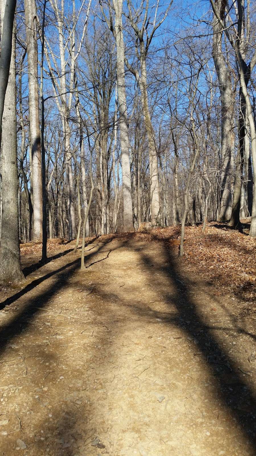 Kingfisher Overlook | Gaithersburg, MD 20878, USA