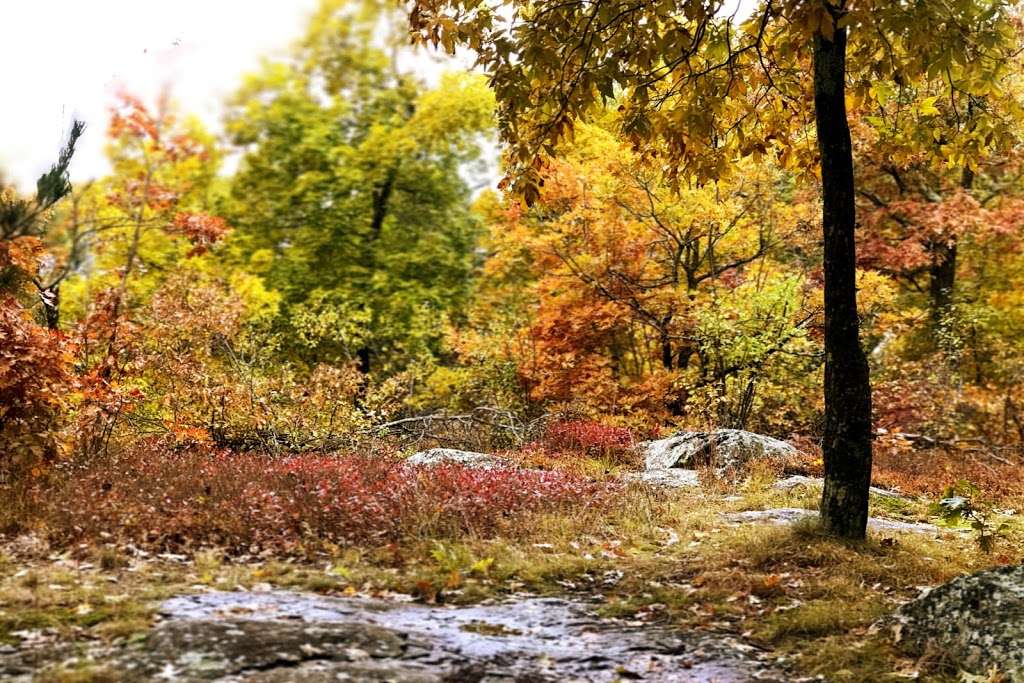 Sheepfold Park-Middlesex Fells Reservation | Soap Box Derby Track, Stoneham, MA 02180, USA | Phone: (617) 727-1199 ext. 406