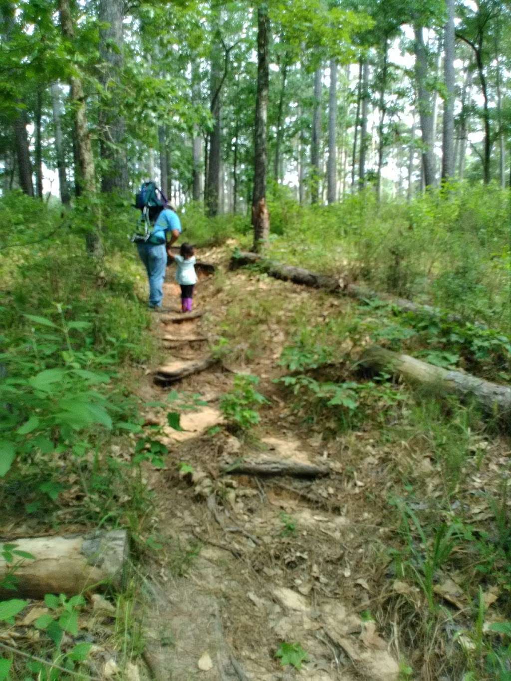 Lone Star Hiking Trail | Lone Star Hiking Trail, Richards, TX 77873, USA | Phone: (936) 344-6205