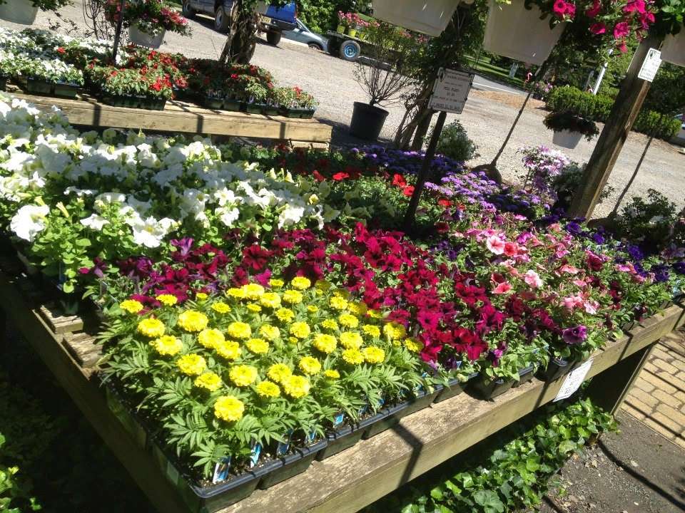 Holmdel Nurseries | 110 Main St, Holmdel, NJ 07733, USA | Phone: (732) 946-4271