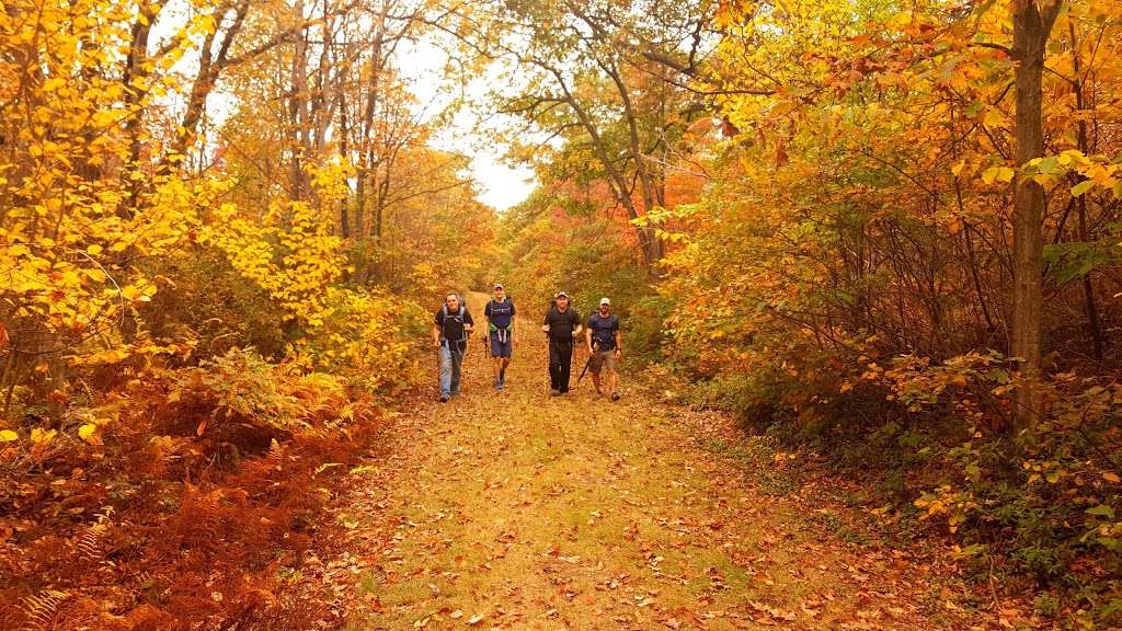 Pinchot State Forest | Bear Lake Rd, Thornhurst Township, PA 18424, USA | Phone: (570) 945-7133