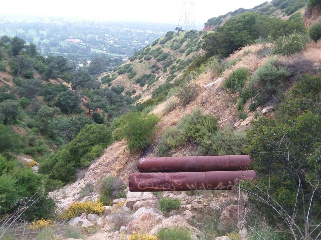 Tree Of Life Trail Fork | Tree of Life Trail, Los Angeles, CA 90068, USA