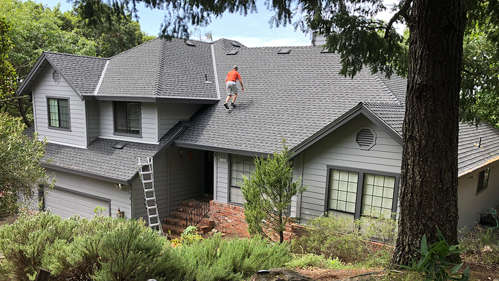 Palmer Roofing Services Inc | 905 W School St, Cotati, CA 94931, USA | Phone: (707) 795-6866