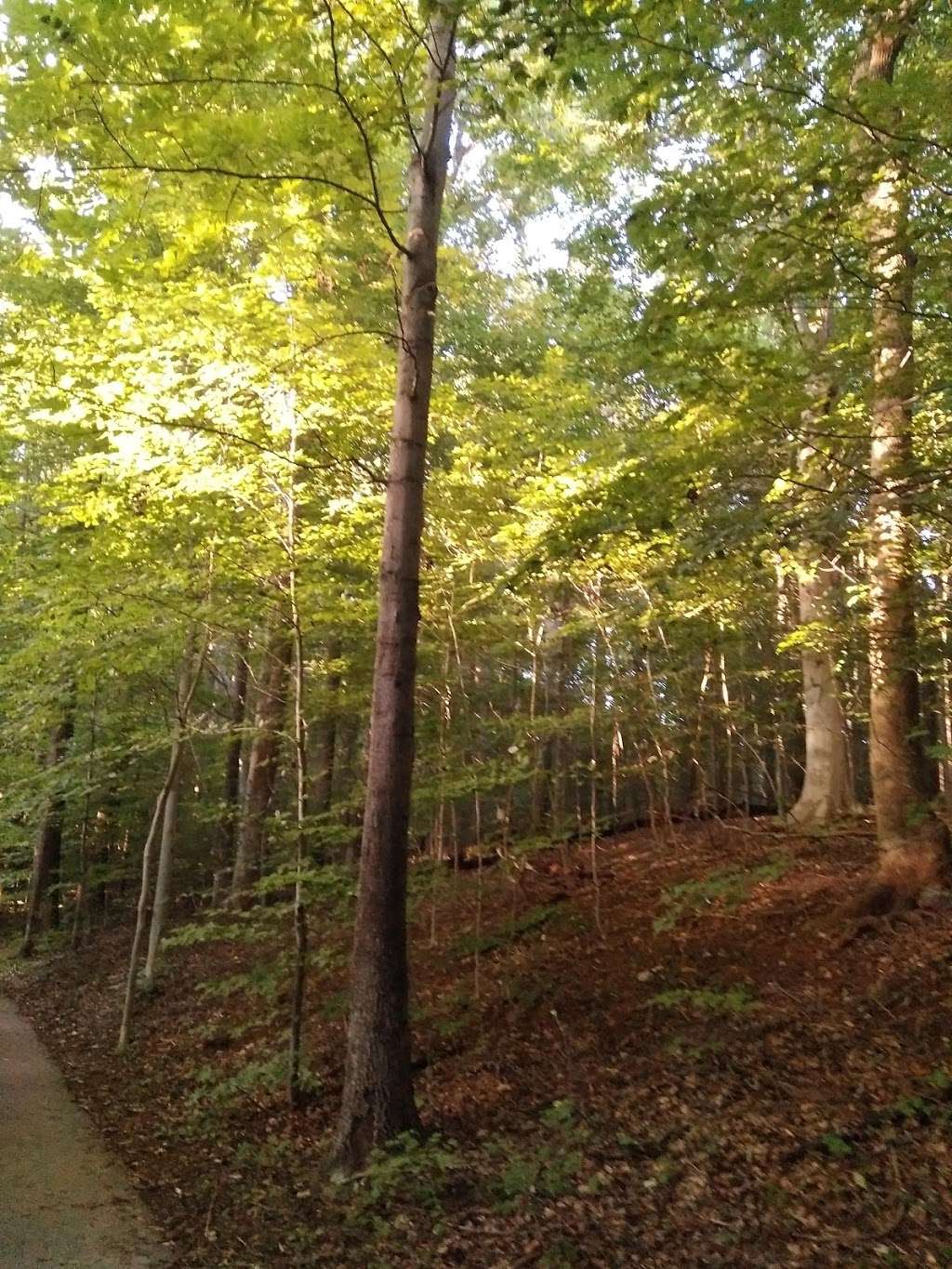 Patuxent Branch Trail | Patuxent Branch Trail, Savage, MD 20763, USA