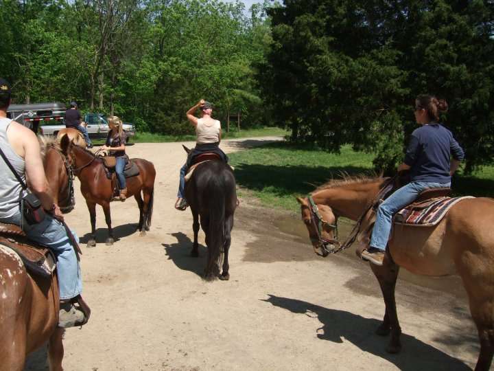 Hickory Hollow Horse Farm | 7418, 219 Crooked Creek Rd, Gettysburg, PA 17325, USA | Phone: (717) 253-6300