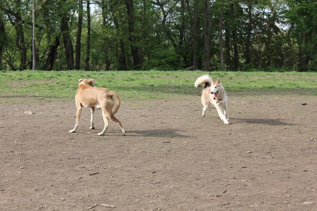 Frick Park Off-Leash Exercise Area | Pittsburgh, PA 15217, USA | Phone: (412) 255-2539