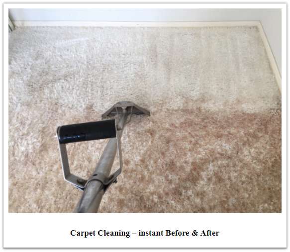 Brielles Rug Cleaning | 6 Horizon Rd Suite 1201, Fort Lee, NJ 07024, USA | Phone: (800) 518-9648