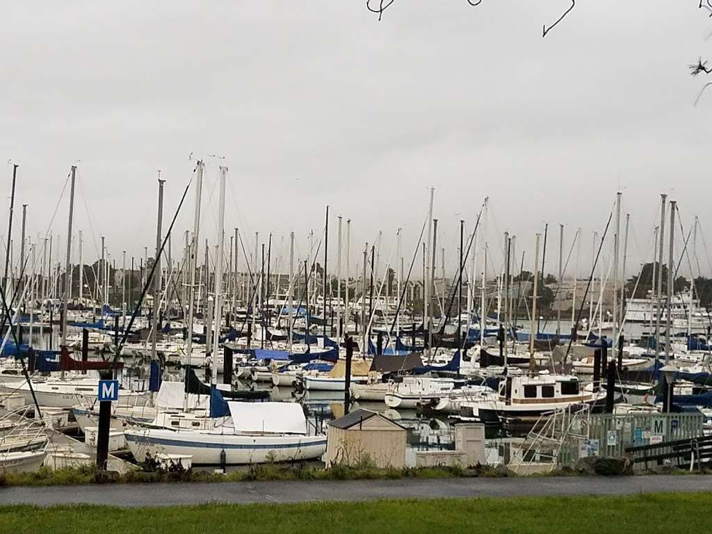 Shorebird Park Nature Center | 160 University Ave, Berkeley, CA 94710, USA | Phone: (510) 981-6720