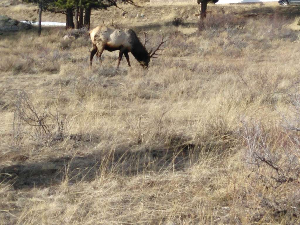 Rocky Mountain Title | 455 E Wonder View Ave # 2B, Estes Park, CO 80517, USA | Phone: (970) 577-1511