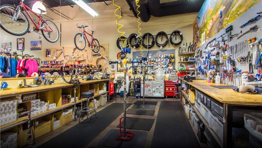 Global Bikes & E-Bikes | 2915 W Ray Rd #10, Chandler, AZ 85224, USA | Phone: (480) 899-3625