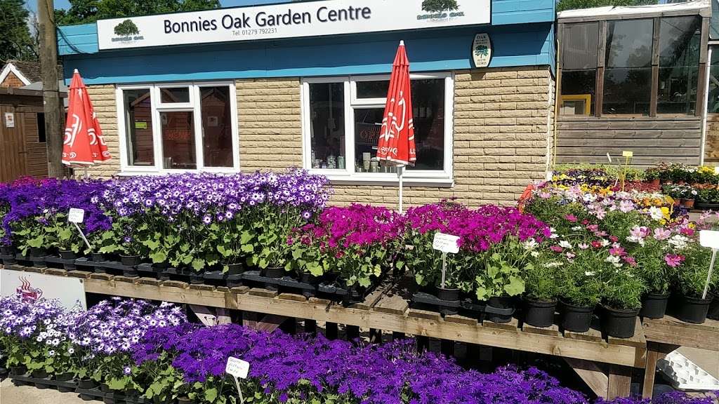 Bonnies Oak Garden Centre | Bonnies Oak Garden Centre, Water Ln, Roydon, Harlow CM19 5DR, UK | Phone: 01279 792231