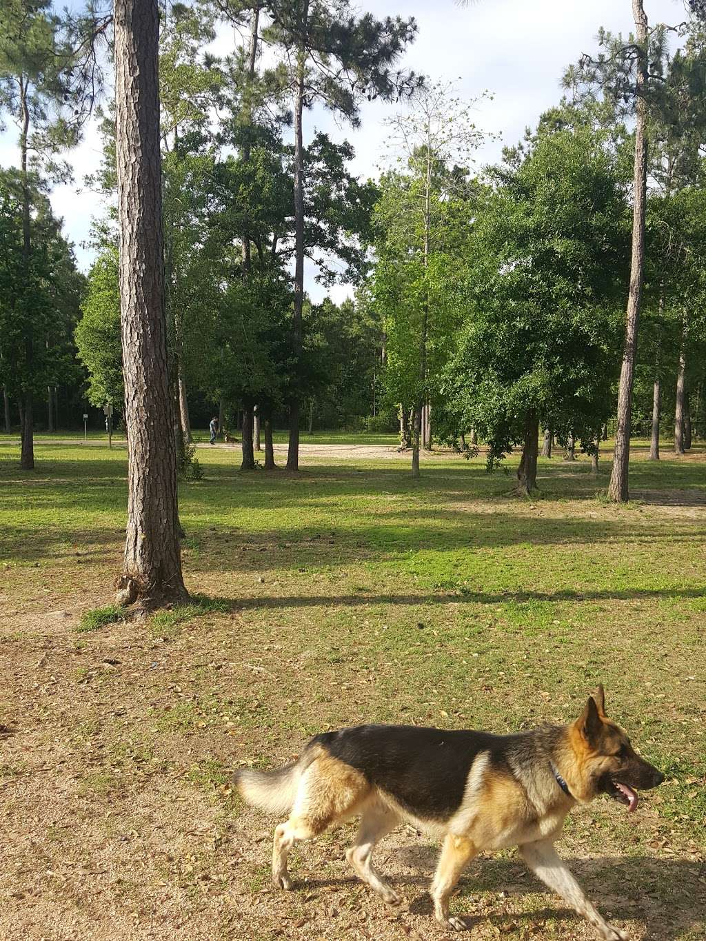 Bibi & Mini-Me Bush Dog Park | 4129 Spring Creek Dr, Spring, TX 77373, USA | Phone: (281) 353-8100