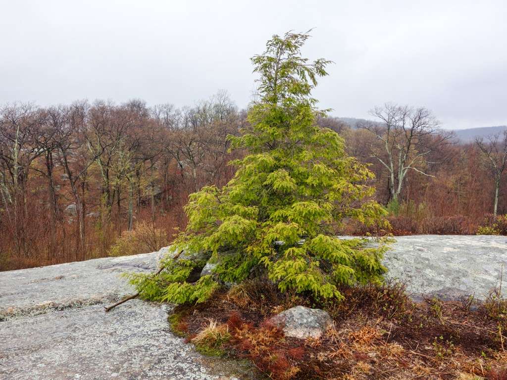 Surebridge Mountain | Tuxedo, NY 10975, USA