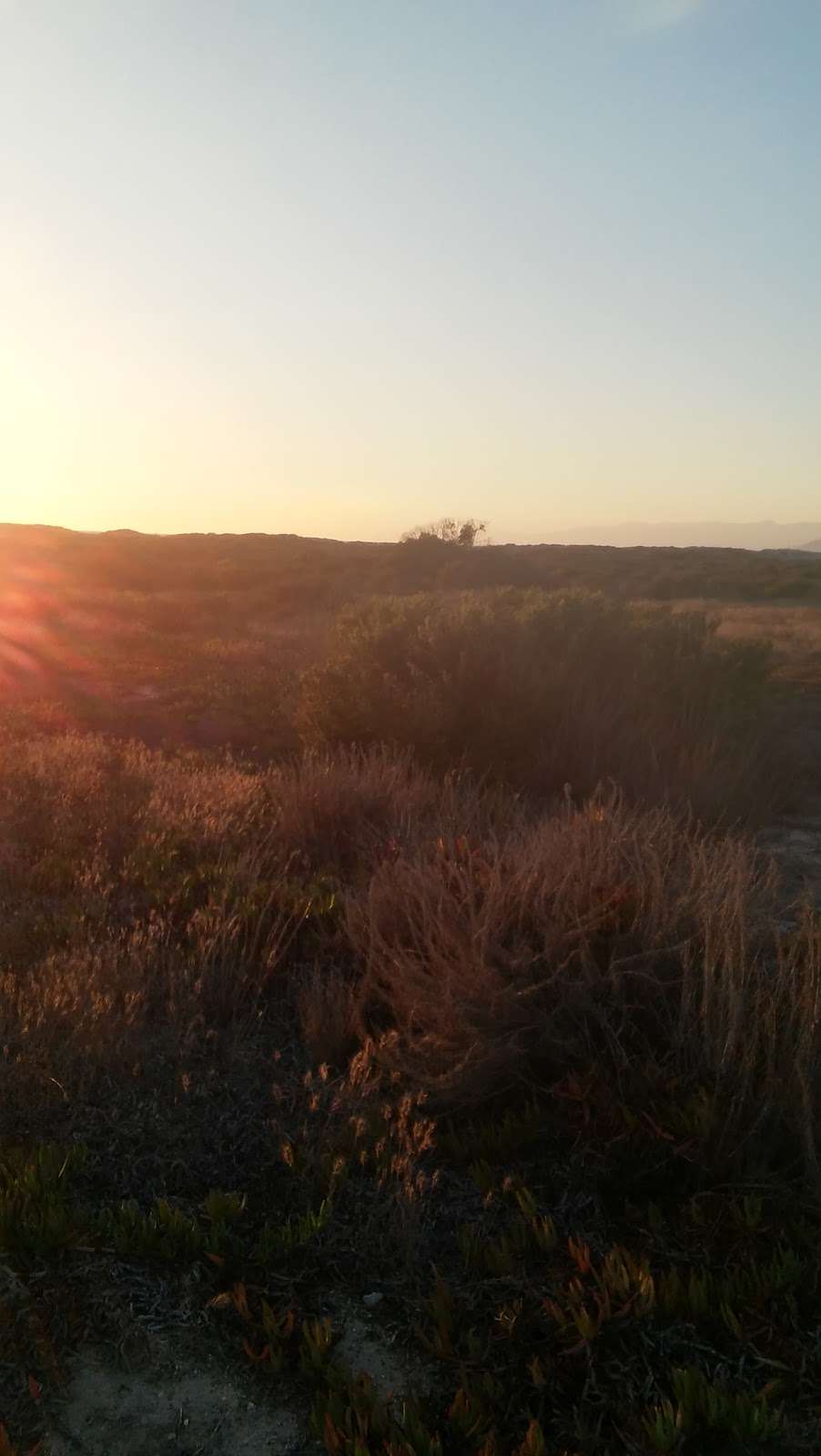 Santa Clara Estuary Natural Preserve | Oxnard, CA 93036, USA