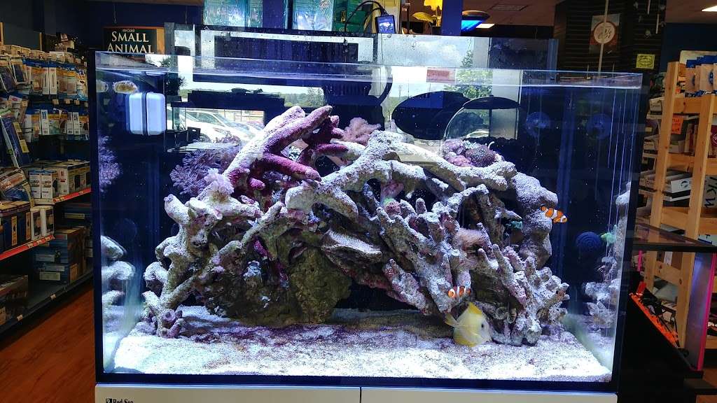 Captain Nemos Aquarium Superstore | 2876 Dekalb Pike, Norristown, PA 19401, USA | Phone: (610) 239-1645