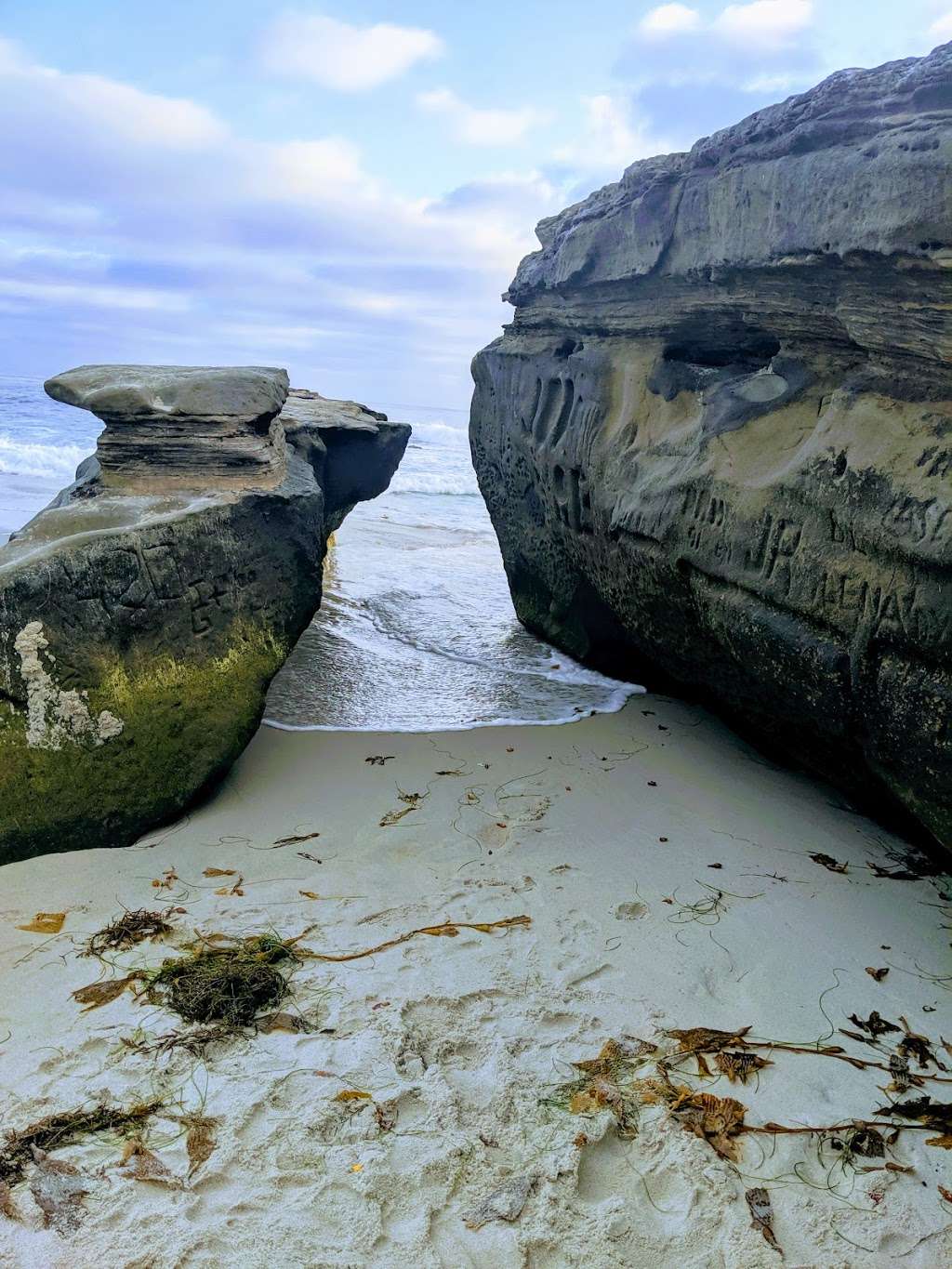 Little point | 101-199 Fern Glen, La Jolla, CA 92037, USA