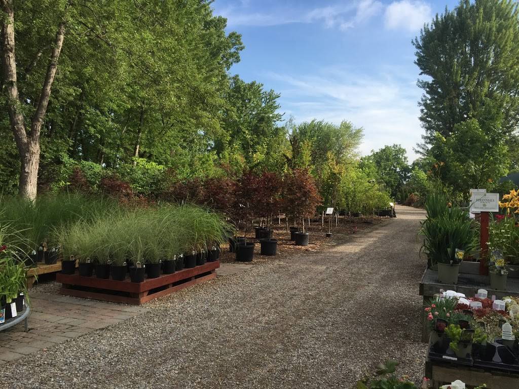 Orchard Farm Nursery Limited | 820 N Talbot Rd, Windsor, ON N9G 1M7, Canada | Phone: (519) 969-0570