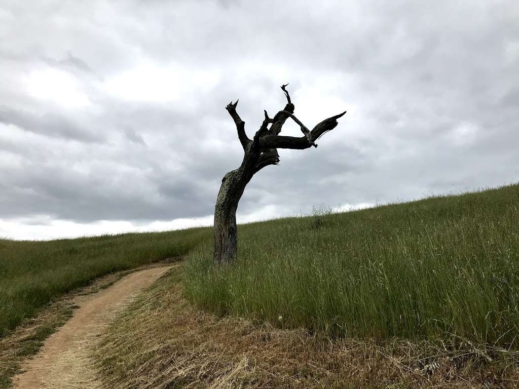 Coyote Valley Open Space Preserve | 550 Palm Ave, Morgan Hill, CA 95037, USA | Phone: (408) 224-7476