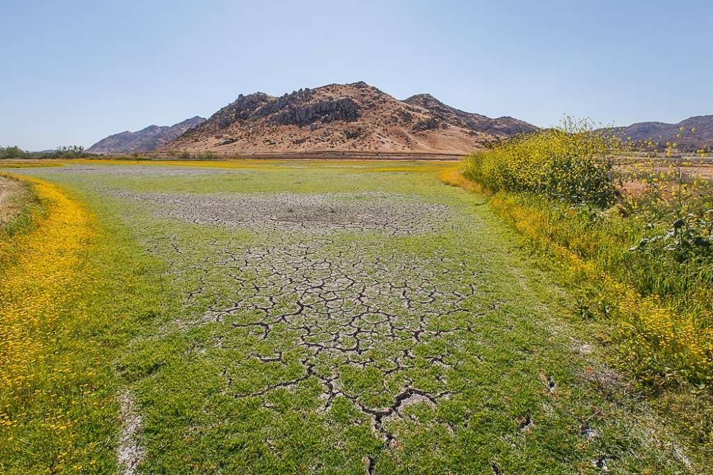 San Jacinto Wildlife Area | 17050 Davis St, Lakeview, CA 92567, USA | Phone: (951) 928-0580