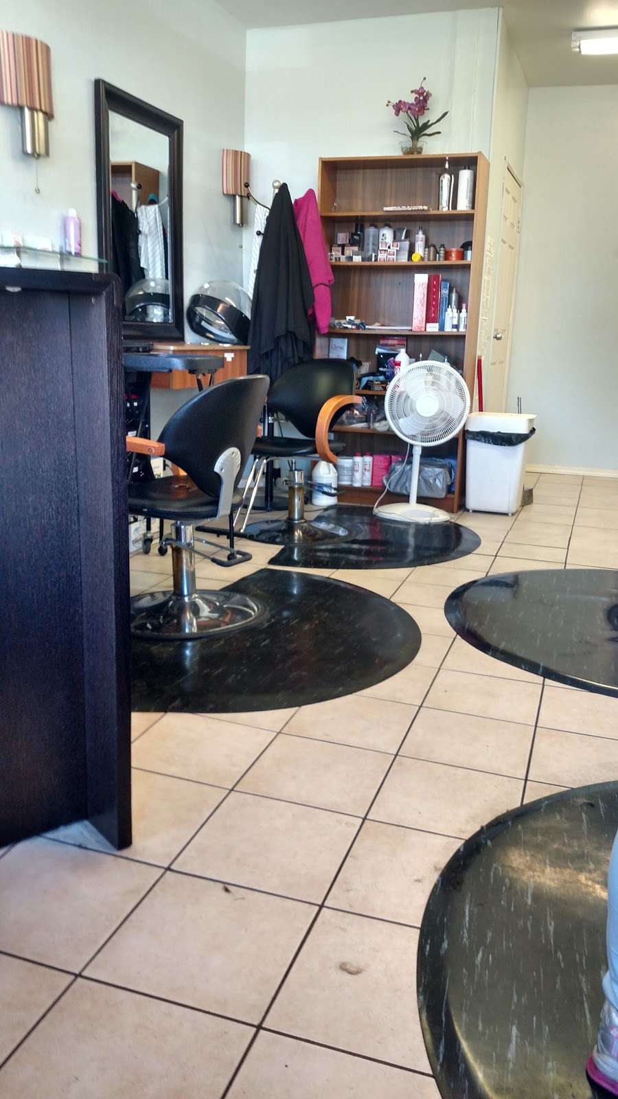 Cute Cuts | 4708 Clayton Rd, Concord, CA 94521, USA | Phone: (925) 339-4617