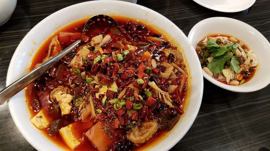 Sze Chuan Cuisine | 2414 S Wentworth Ave, Chicago, IL 60616, USA | Phone: (312) 791-1882