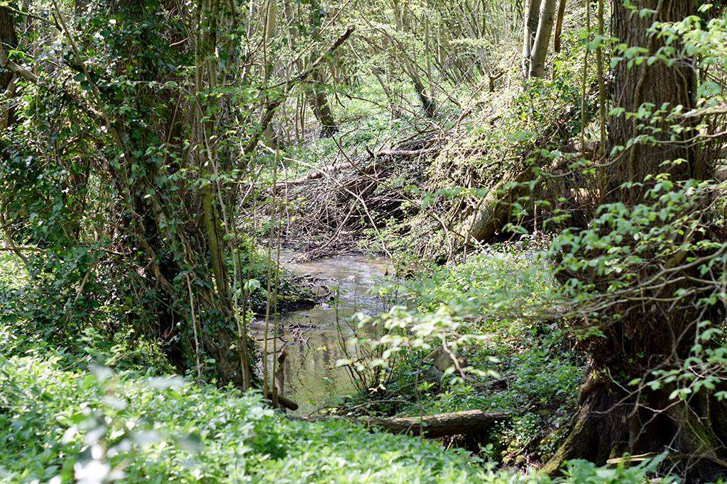 Otford Kent Circular Walk | Otford Rd, Sevenoaks TN14 5DP, UK