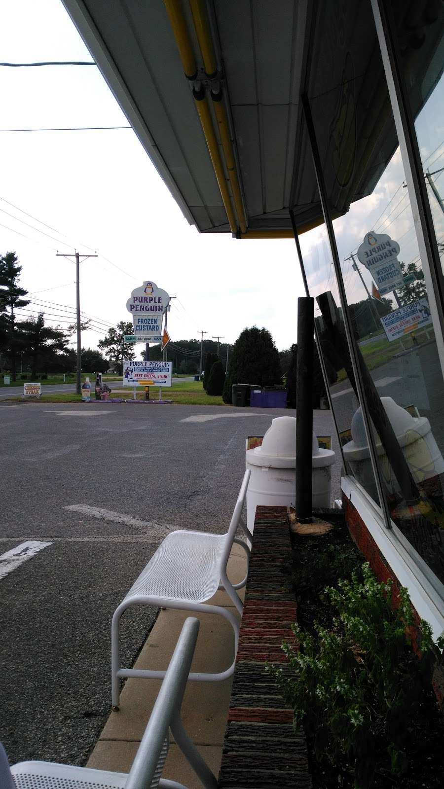 Purple Penguin | 5313, 1008 Harding Hwy, Newfield, NJ 08344, USA | Phone: (856) 697-4731