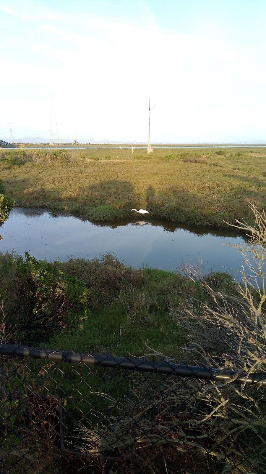 Baylands Vista Point | Mare Island Causeway, Vallejo, CA 94592, USA