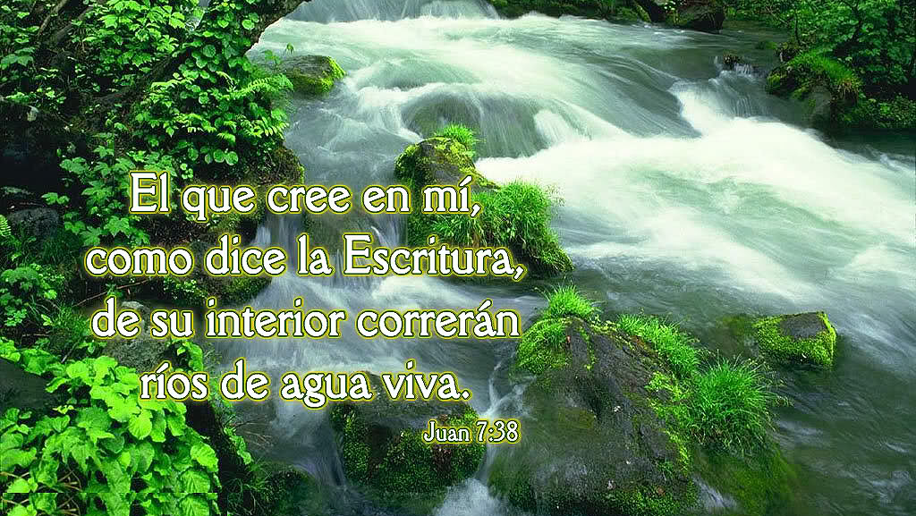 Iglesia Columna De Fuego Texas | 15206 Tomasa St, Sugar Land, TX 77498, USA | Phone: (832) 873-5135