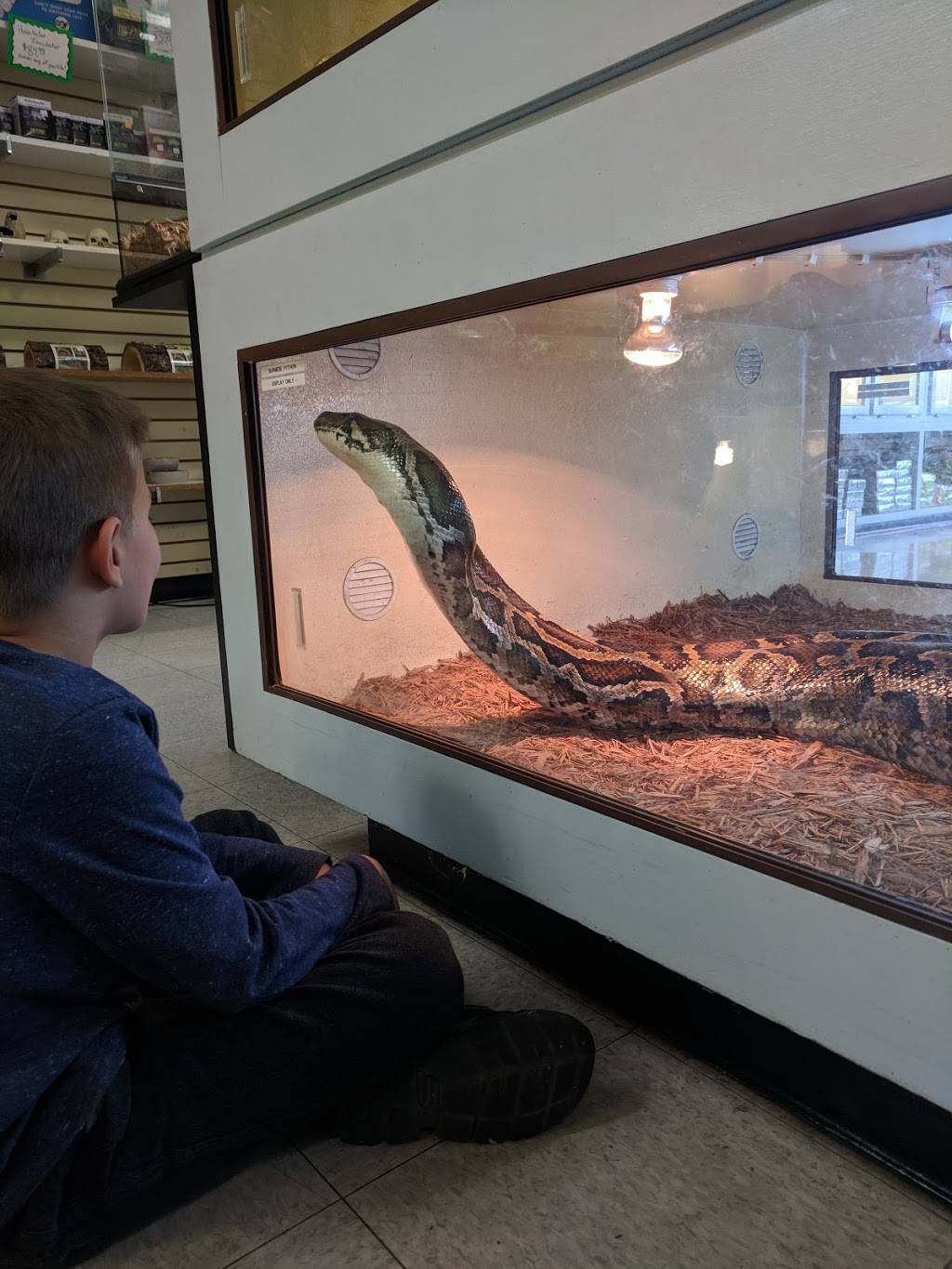 Arizona Reptile Center | 2025 W Broadway Rd #1, Mesa, AZ 85202, USA | Phone: (480) 835-6244