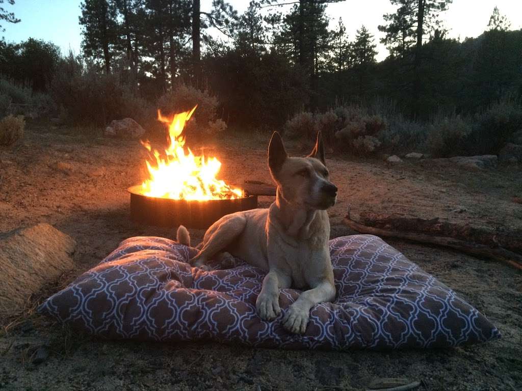 Horse Flats Campground | Pearblossom, CA 93553, USA