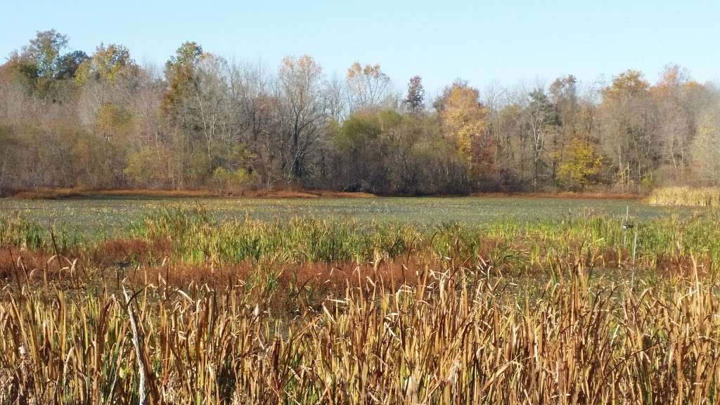 McKee Beshers Wildlife Management Area | 16898-16500 River Rd, Poolesville, MD 20837, USA | Phone: (410) 356-9272