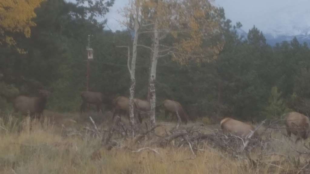 Everhart | Estes Park, CO 80517, USA