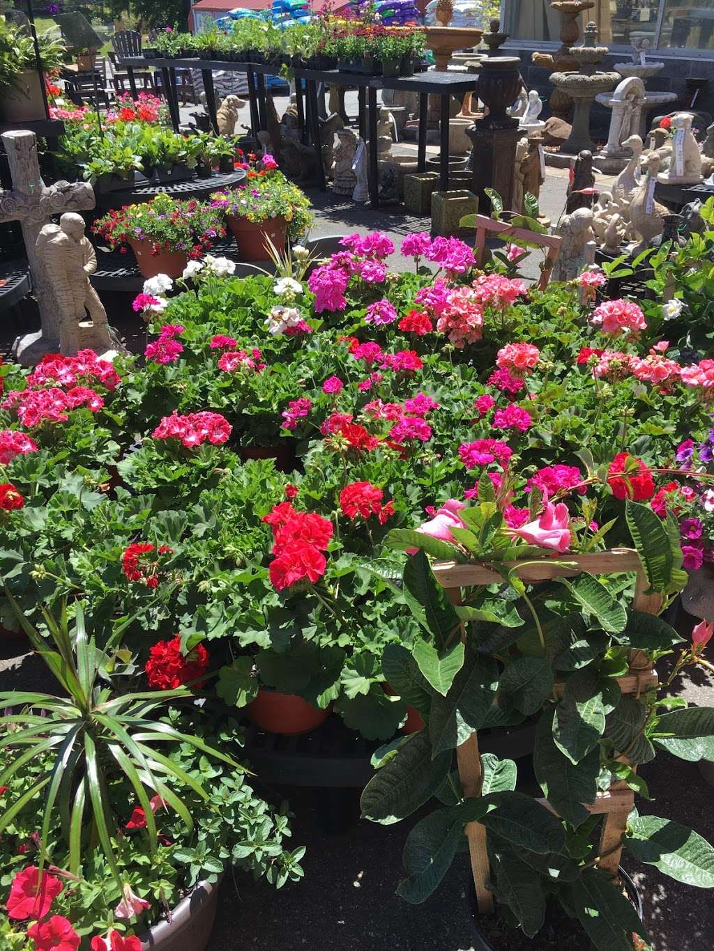 Saines Hardware & Garden Center | 127 Spake Rd, Lincolnton, NC 28092, USA | Phone: (704) 735-3911