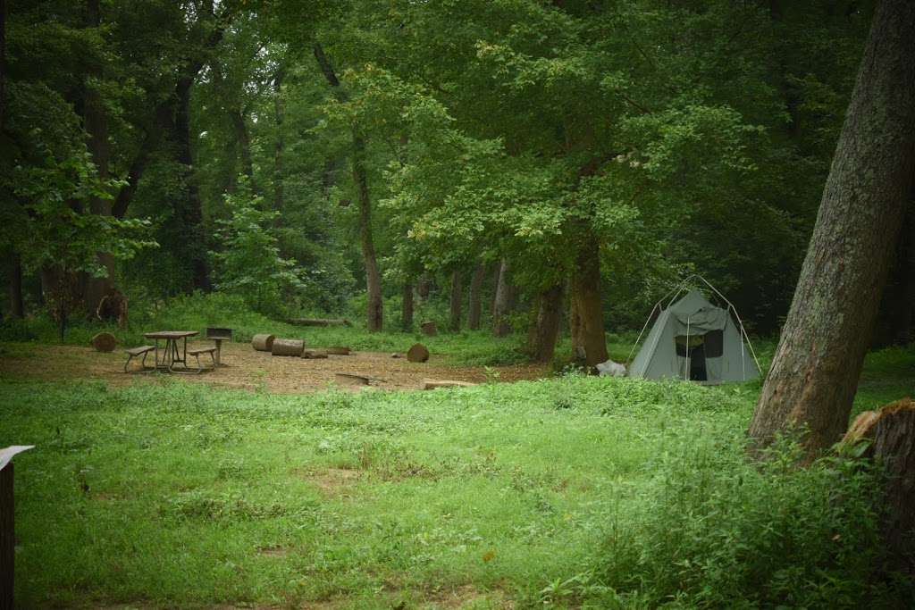 Huckleberry Hill Campsite | Chesapeake and Ohio Canal Towpath, Knoxville, MD 21758, USA