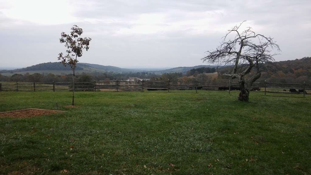 Sky Meadow StPk | Sky Meadows State Park, 11012 Edmonds Ln, Delaplane, VA 20144, USA