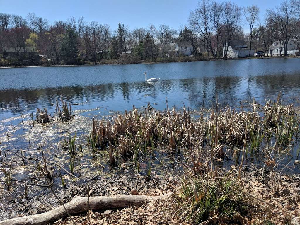 Bogue Pond Park | 17 Sandra Ln, Bloomingdale, NJ 07403, USA