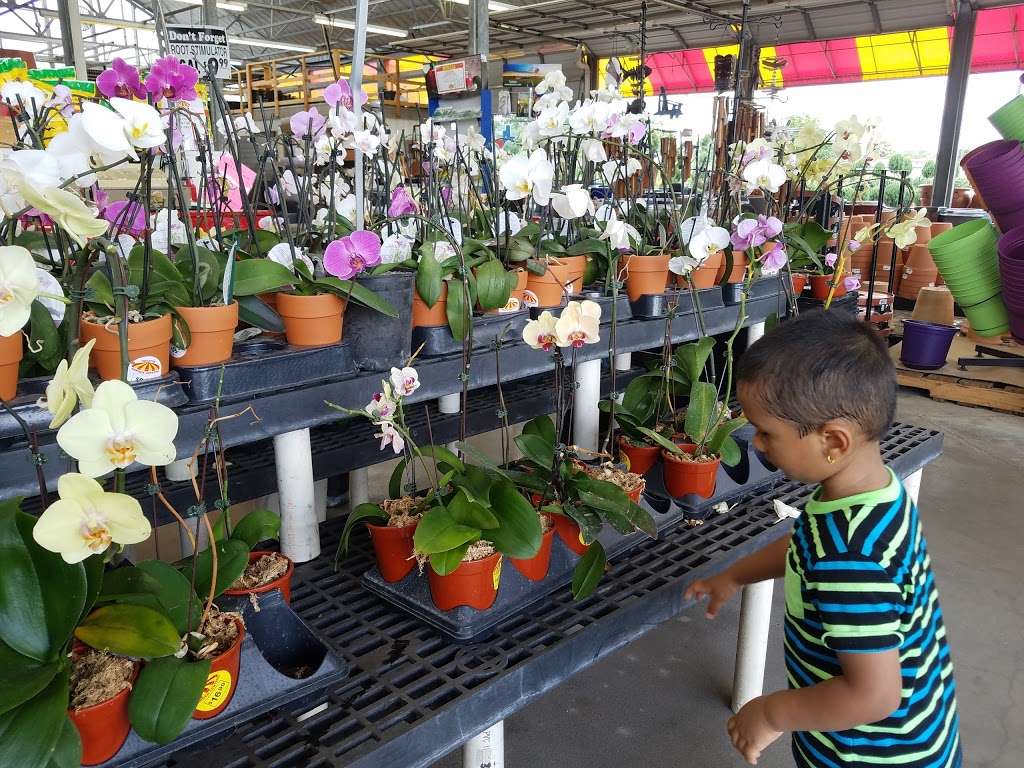 Houston Garden Center | 23260 Northwest Fwy, Cypress, TX 77429, USA | Phone: (281) 373-2239