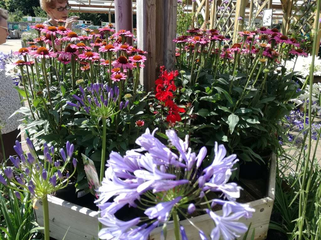 Woodlands Garden Centre | Ash Ln, New Ash Green, West Kingsdown, Sevenoaks TN15 7EG, UK | Phone: 01474 852788