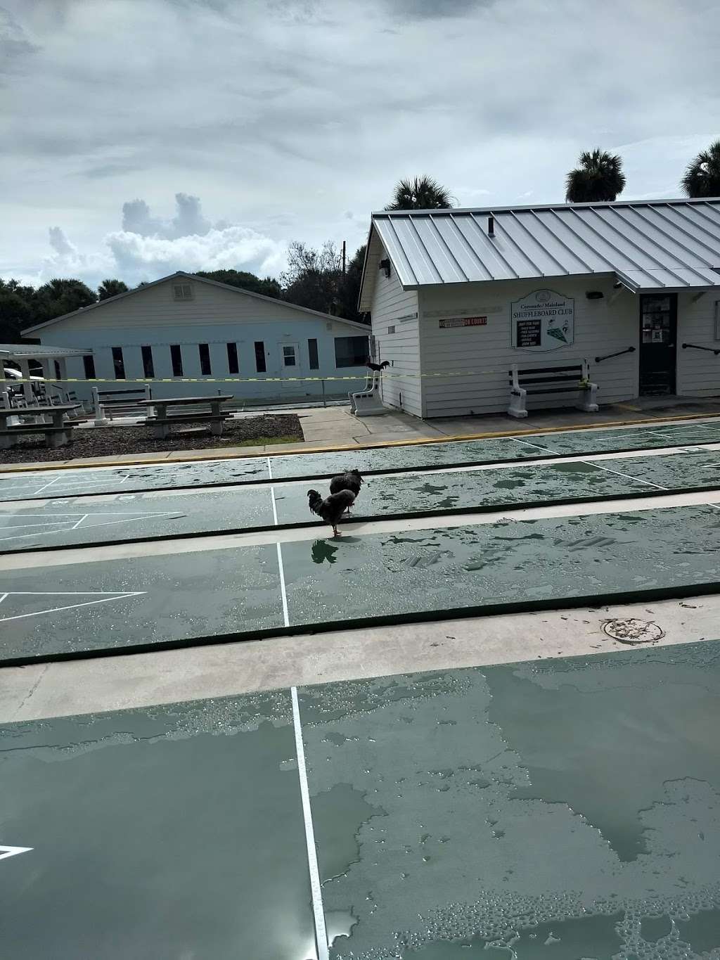 Coronado Beach Shuffle Board Courts | 150 S Pine St, New Smyrna Beach, FL 32169, USA | Phone: (386) 424-2175