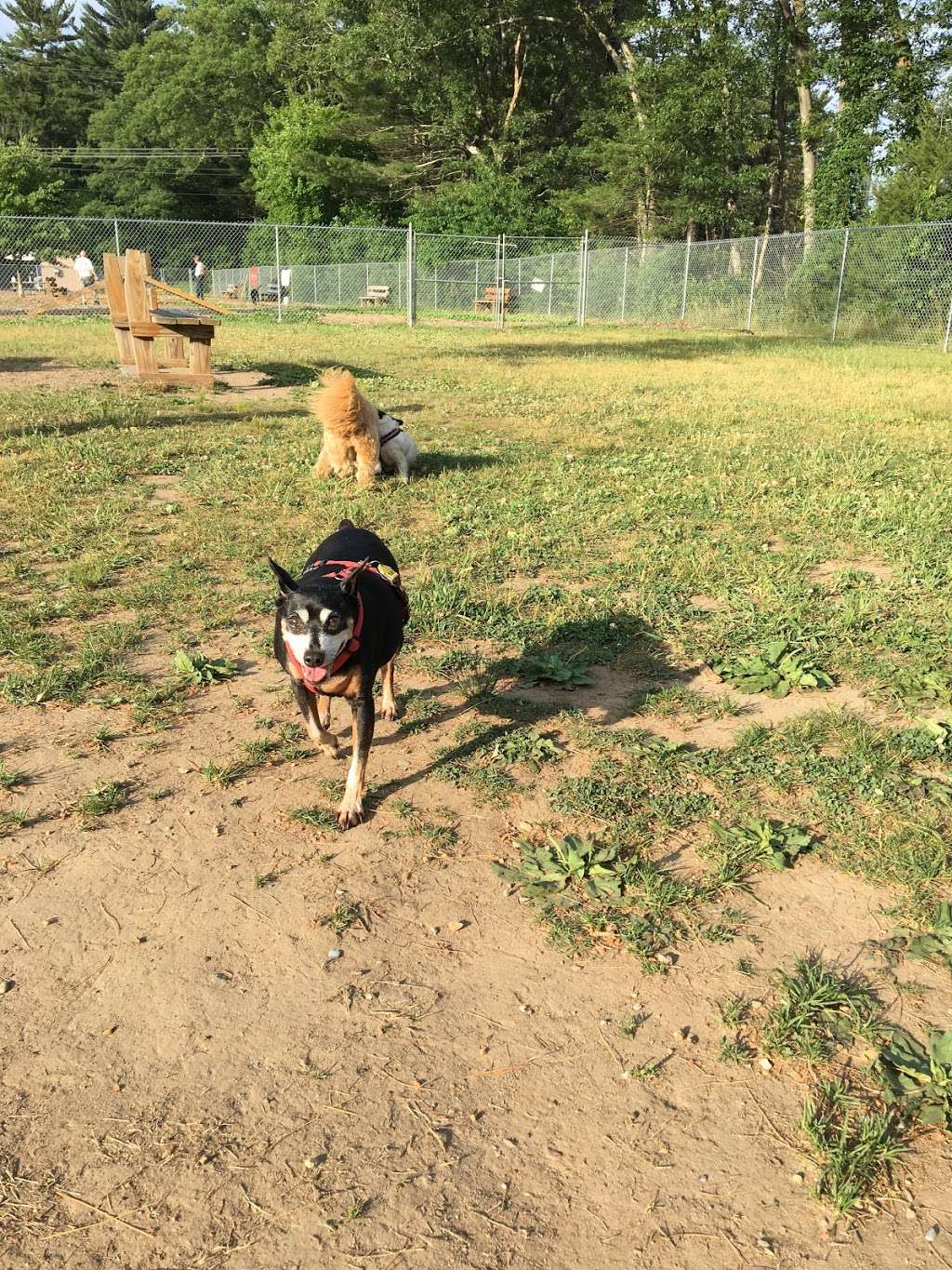 Attleboro Dog Park | Seekonk, MA 02771, USA