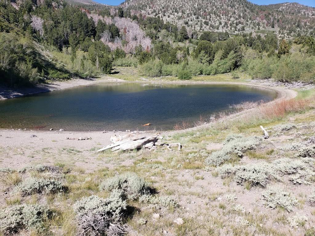 Jones-Whites Creek Trailhead | Jones Creek Loop, Reno, NV 89511, USA | Phone: (775) 849-5211