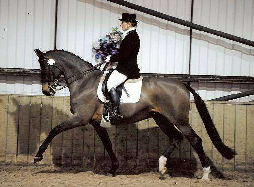 Sarah Williams Dressage | Yonder Farm, Orange Court Lane, Downe BR6 7JD, UK | Phone: 07956 369390