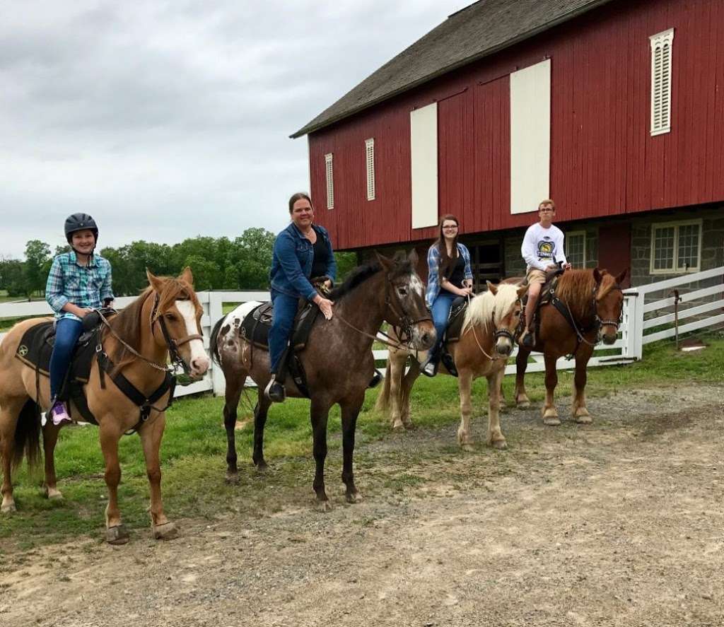 Hickory Hollow Horse Farm | 7418, 219 Crooked Creek Rd, Gettysburg, PA 17325, USA | Phone: (717) 253-6300