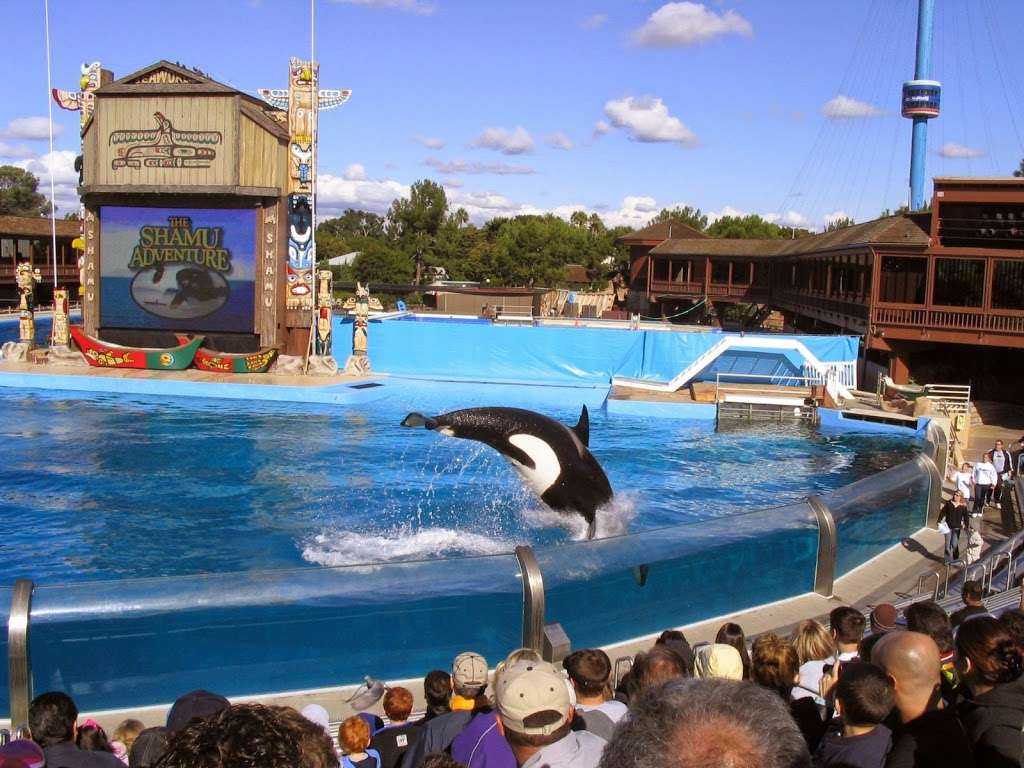 SeaWorld Marina | 1660 S Shores Rd, San Diego, CA 92109, USA | Phone: (619) 226-3910